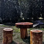 Carlsbad Wellness&camping *