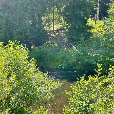 B&B Carlsbad Wellness &