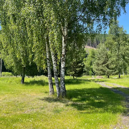 Carlsbad Wellness & *